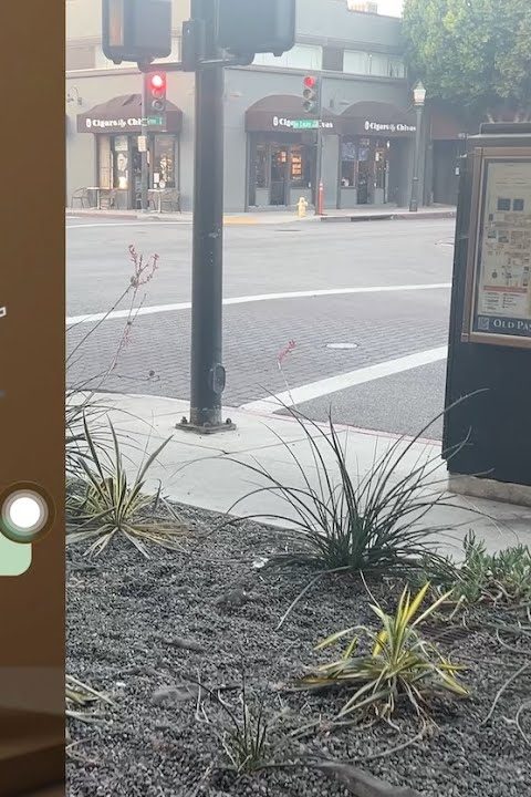The AR view: the street outside the shop through the phone’s camera.