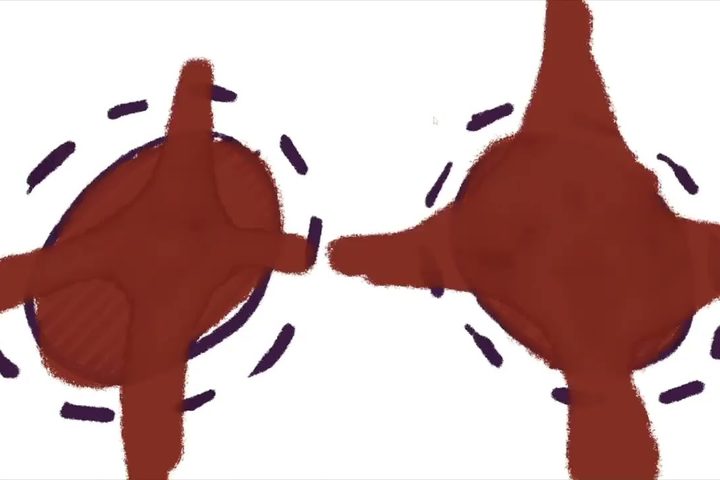 Two brown pillows mid-swing on a white ground.